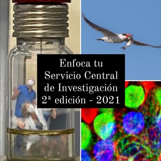 2ª Edición Concurso Fotográfico:  “Enfoca tu Servicio Central de Investigación”